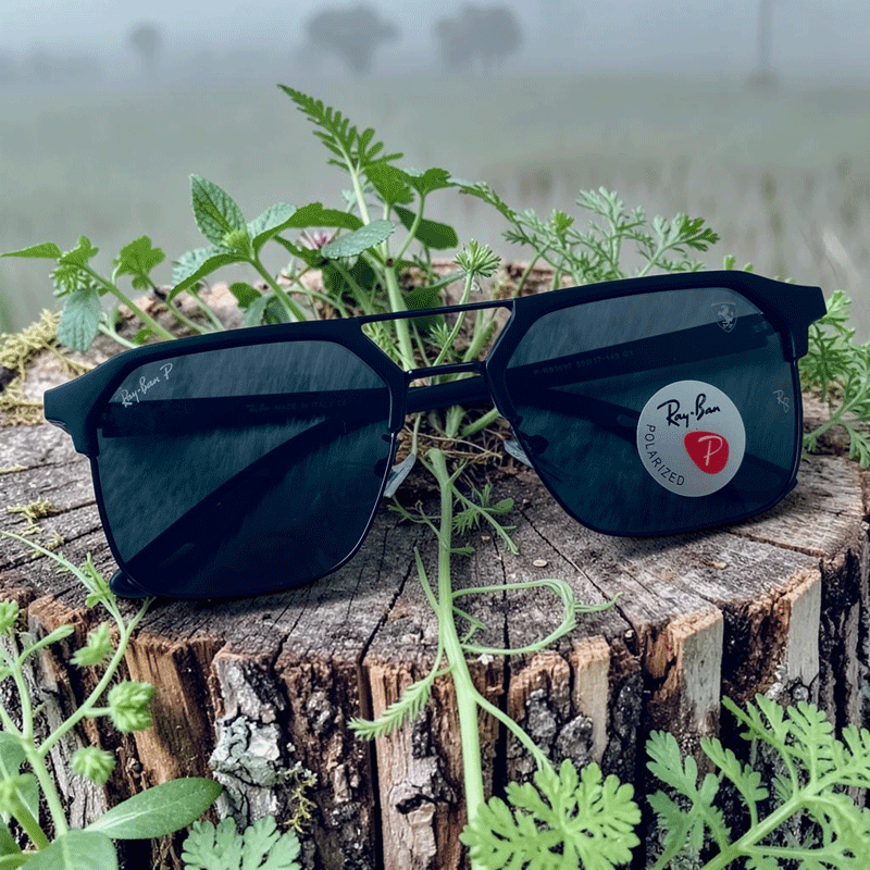 Polarize Sunglass